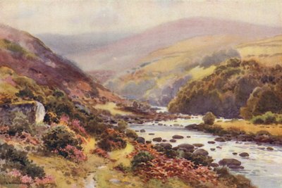 Dartmeet von Ernest William Haslehust