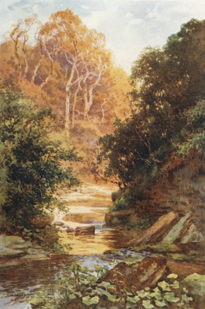 Hayburn Wyke von Ernest William Haslehust