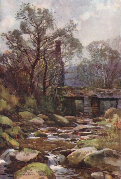 Ockery Brücke, nahe Princetown von Ernest William Haslehust