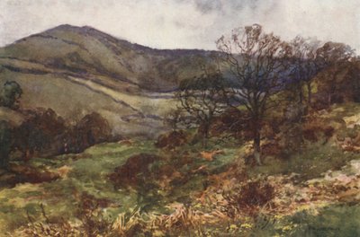 Shanklin Down, Frühling von Ernest William Haslehust