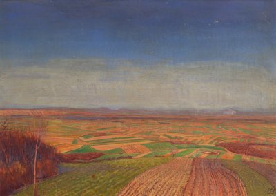 Marchfeld vom Bisamberg von Ernst Eck