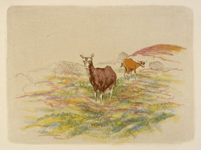 Ziegen auf einem Feld von Esther Blaikie MacKinnon