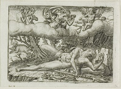 Der Tod des Adonis von Etienne Delaune