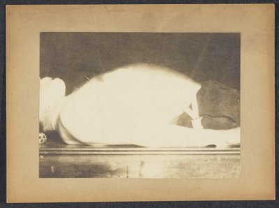 Marey in einer Studie der Atmung von Etienne Jules Marey