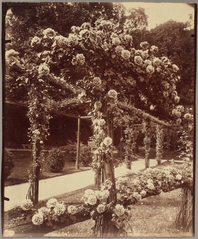 [Jardin de Bagatelle] von Eugène Atget