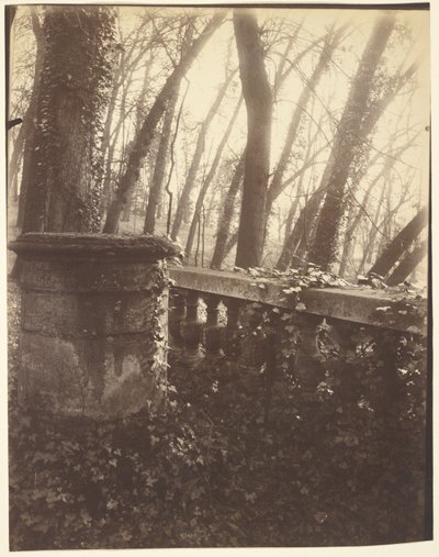 Park von Saint-Cloud, Paris von Eugène Atget