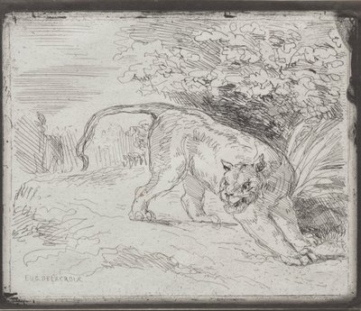 Ein gefangener Tiger von Eugène Delacroix