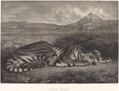 Königstiger von Eugène Delacroix