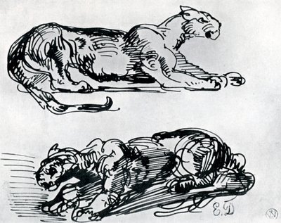 Studien von Panthern, 1913 von Ferdinand Victor Eugene Delacroix