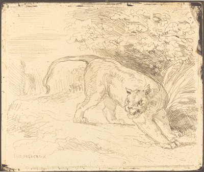 Tiger im Anschlag von Eugène Delacroix