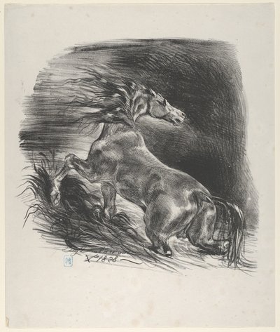 Wildes Pferd, 1828 von Eugène Delacroix