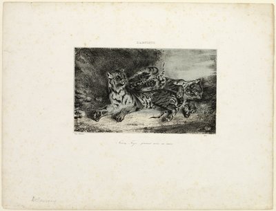 Junger Tiger spielt mit seiner Mutter von Eugène Delacroix