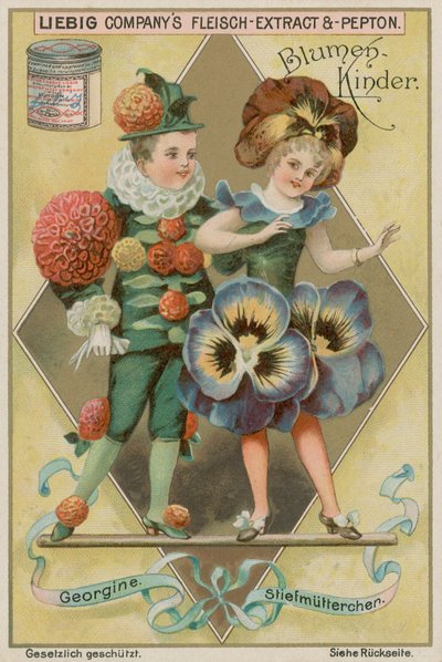 Dahlie und Stiefmütterchen von European School