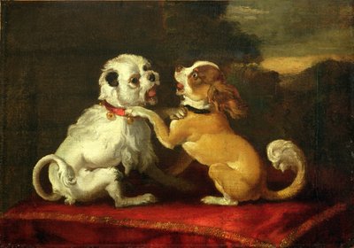Spielende Hunde von European School