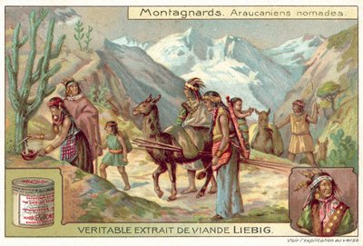 Mapuche-Nomaden von European School