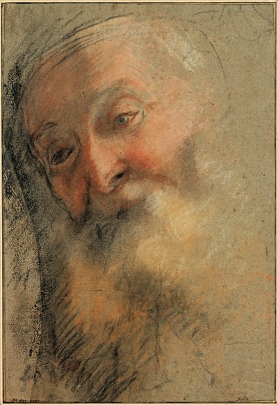 Kopf eines alten bärtigen Mannes, 1584-1586 von Federigo Barocci