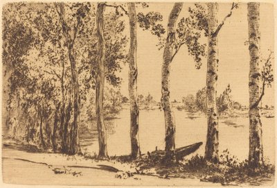 Pappeln entlang der Seine von Felix Bracquemond