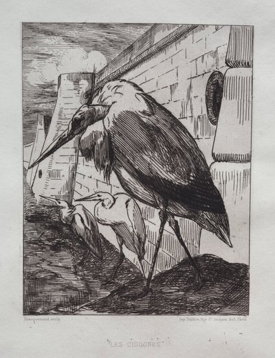Die Störche, 1865 von Felix Bracquemond
