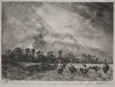 Die Sturmwolke, 1878-1887 von Felix Bracquemond