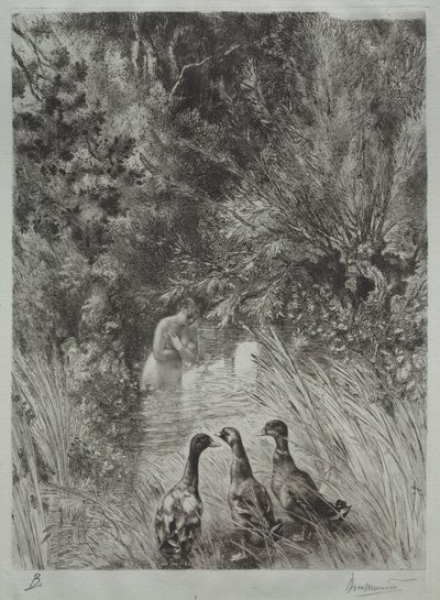 Die überraschten Enten von Felix Bracquemond
