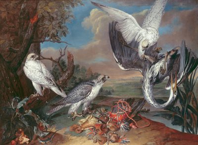 Grönland-Falken von Ferdinand Phillip de Hamilton