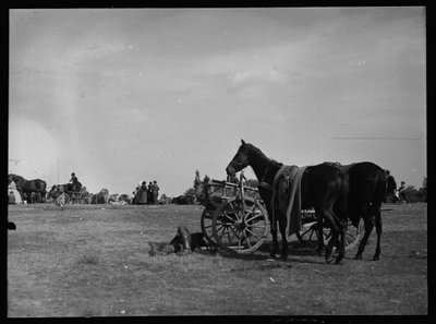 Pferd neben Wagen in Semere von Ferdinand Schmutzer