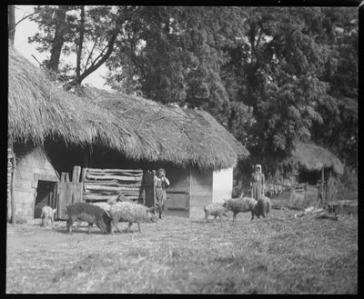 Stall in Semere von Ferdinand Schmutzer