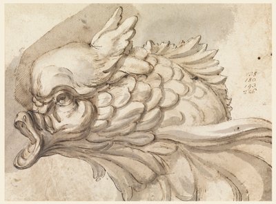 Zeichnung, Kopf eines Delfins, ca. 1775 von Filippo Marchionni