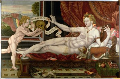 Vanitas von Flemish School