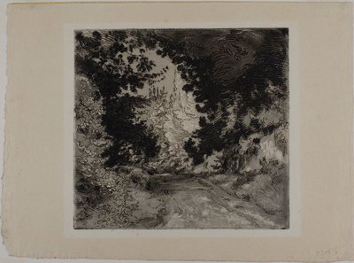 Der Weg von Coutures, in Sèvres von Félix Henri Bracquemond