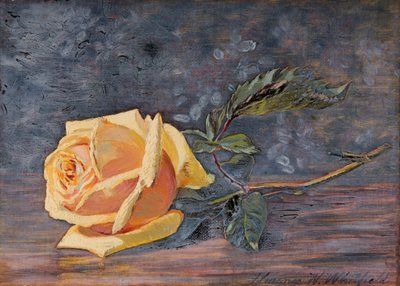 Gelbe Rose von Florence Westwood Whitfield