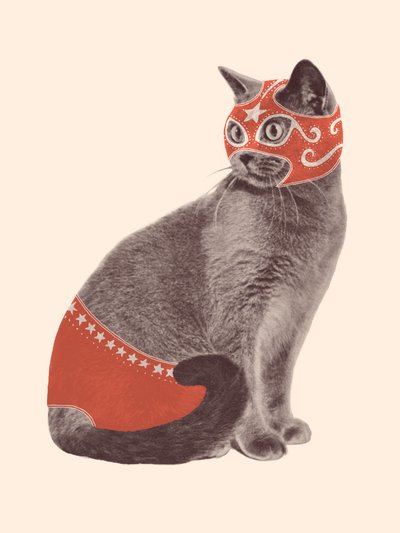 Katzenringer von Florent Bodart