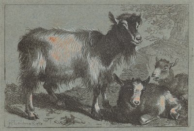 Ziege und zwei Kitze, 1758 von Francesco Londonio