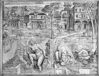 Die Verklärung von Francesco Pozzi