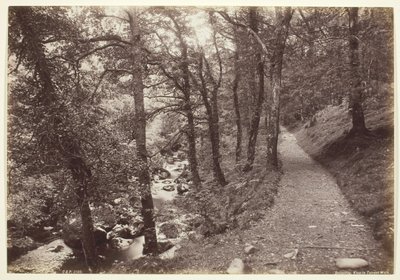 Dolgelley, Ansicht im Torrent Walk von Francis Bedford
