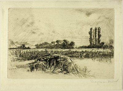 Eine Wasserwiese von Francis Seymour Haden