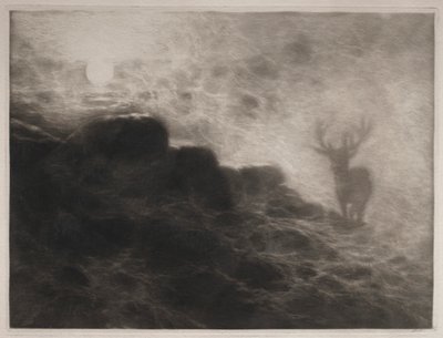Ein Frühaufsteher von Francis Seymour Haden