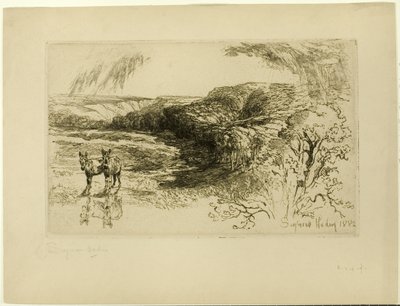 Encombe Woods, Nr. II von Francis Seymour Haden