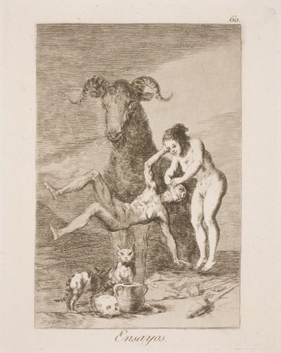 Versuch von Francisco de Goya