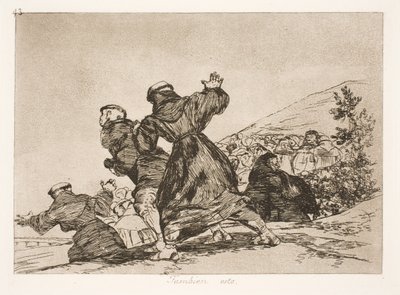 Auch dies (43) von Francisco de Goya