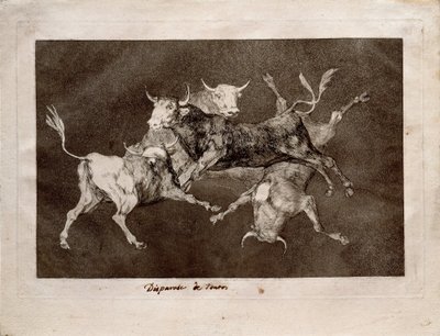 Narrenspossen von Francisco de Goya
