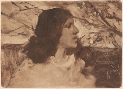 Kopf einer Frau von Frank Duveneck