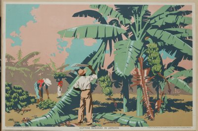 Bananen schneiden in Jamaika von Frank Newbould