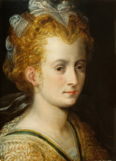 Kopf einer jungen Frau, ca. 1555 von Frans Floris