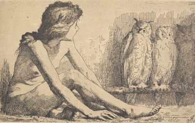 Das Mädchen mit den Eulen von Frans Schwartz