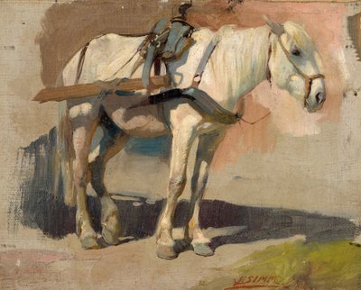 Angeschirrter Schimmel von Franz Xaver Simm
