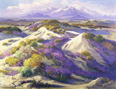 Mit Eisenkraut bedeckte Dünen von Fred Grayson Sayre