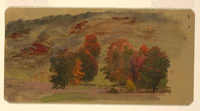 Herbstlandschaft von Frederic Edwin Church