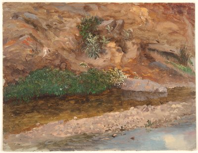 Ufer eines Baches von Frederic Edwin Church