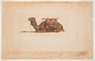 Kauerndes Dromedar von Frederic Edwin Church